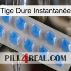 Tige Dure Instantanée 22